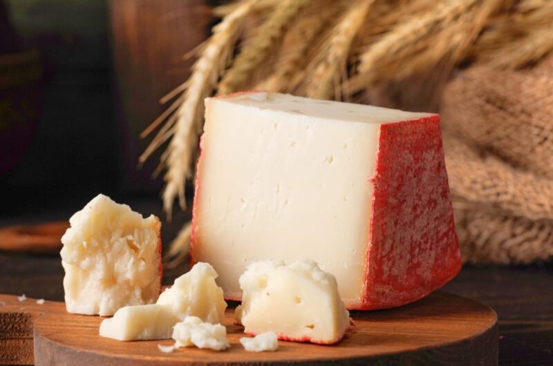 14 Best Fontina Cheese Substitutes