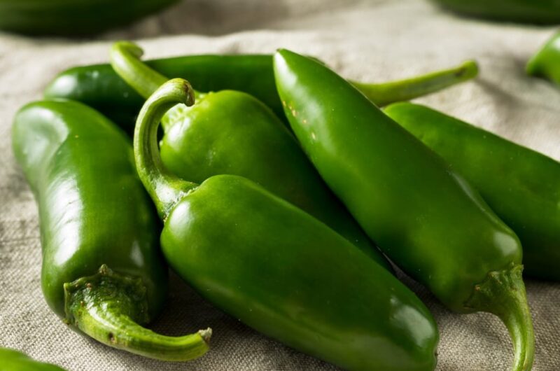 10 Best Jalapeno Substitutes to Spice Up Meals