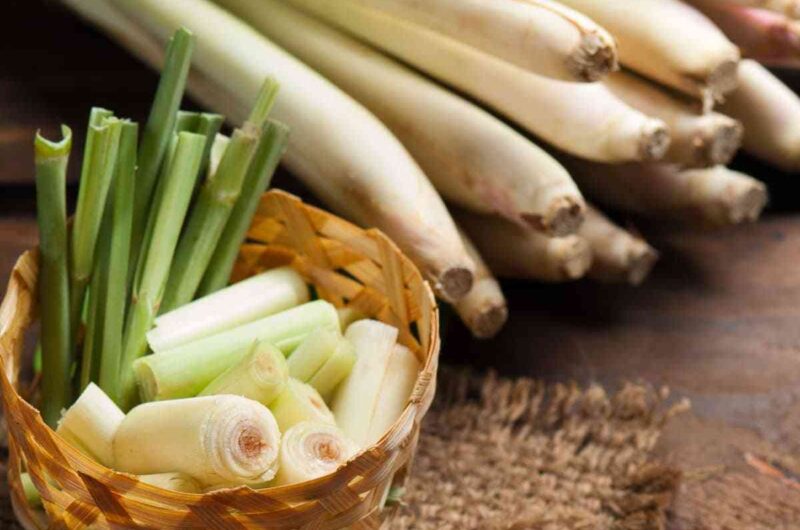 10 Lemongrass Substitutes (+ Best Alternatives)